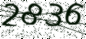 Verification code image. If you can't read it, press the refresh button.
